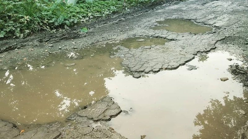 Федералы заинтересовались самой известной лужей Сахалина. Отдадут данные Норвегии