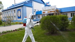 Сады и школы Южно-Сахалинска избавятся от клещей до конца мая
