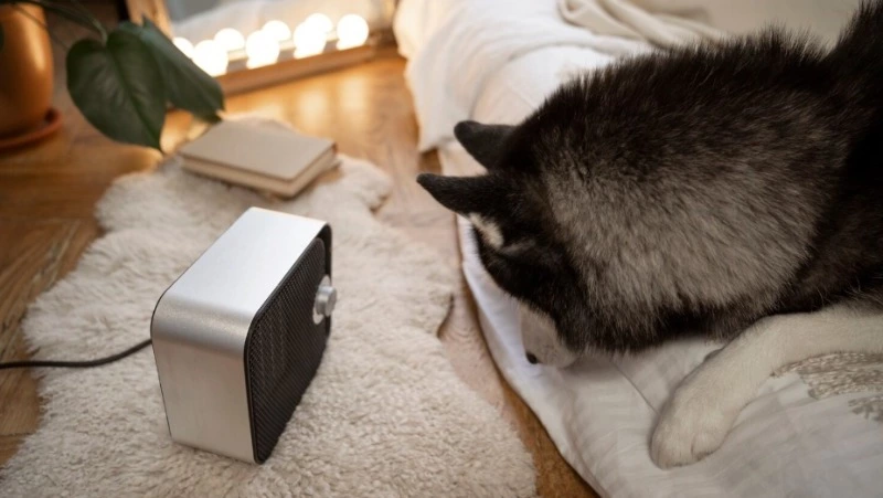 Детские учреждения и часть Южно-Сахалинска проведут без отопления 25 февраля