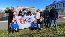 Бизнесмены высадили 370 кедров во дворах детских садов и школ Сахалина