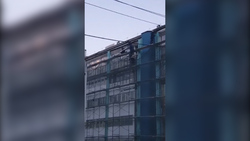 В Южно-Сахалинске появились бесстрашные «строители-пауки»