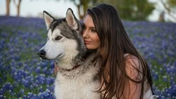 Внедрение обязательной регистрации животных на Сахалине отложили до весны 2025 года