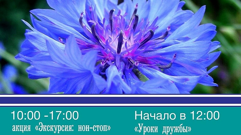 Музей книги Чехова «Остров Сахалин» приглашает вместе встретить Первомай