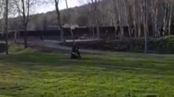 Южносахалинка выгнала из парка экстремала, который портил газон скутером