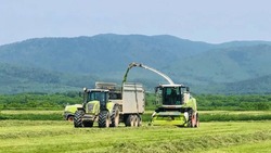 Животноводы Сахалинской области заготовят на зиму более 200 тысяч кормов