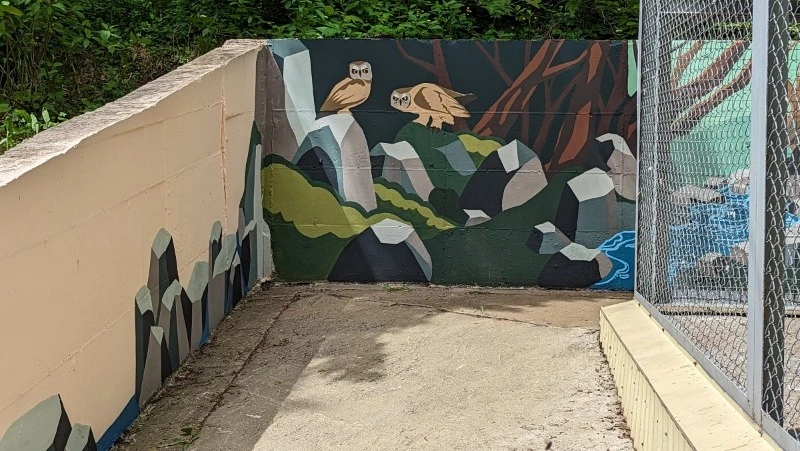 Студенты Сахалинского колледжа искусств раскрасили стены в зоопарке Южно-Сахалинска