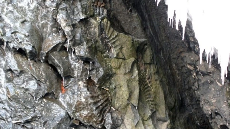 Стало известно популярное, но смертельно опасное туристическое место на Сахалине