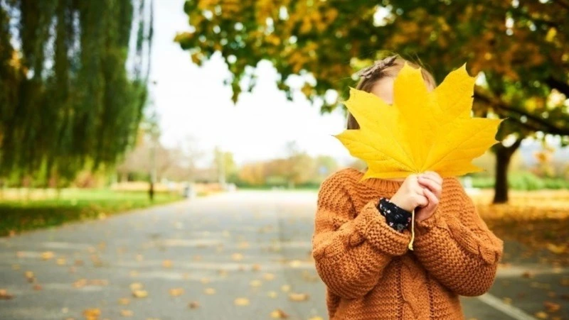 В Южно-Сахалинске 5 октября будет тепло и пасмурно