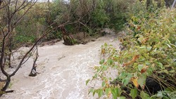 Уровень воды в реках вырастет еще на 1 метр в двух районах Сахалина 6 октября
