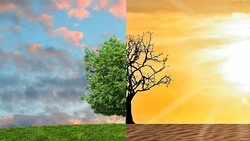 Стало известно, почему жара вернулась на север Сахалина