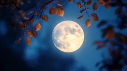 Новолуние в Весах 2 октября 2024: как повлияет на знаки зодиака, что нельзя делать