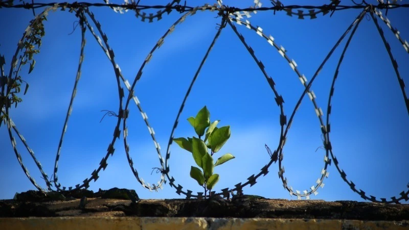 Из-за необычного увлечения сахалинец может сесть в тюрьму