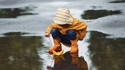 Дождь и штиль: прогноз погоды в Южно-Сахалинске 27 августа