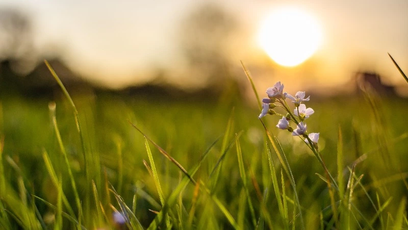 Новый аэропорт и жгучие медузы: главные события августа-2023 на Сахалине и Курилах