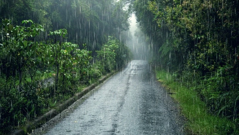 Еще одна дождливая неделя ждет жителей Сахалинской области