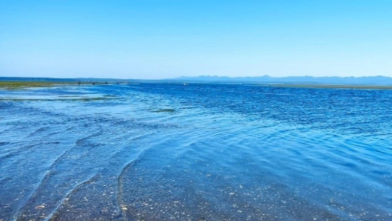 Росрыболовство выставило на аукцион участок под аквакультуру в лагуне Буссе