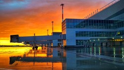 «Аврора» увеличила число рейсов из Красноярска в Южно-Сахалинск