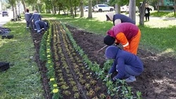 Газоны вдоль улицы Пуркаева в Южно-Сахалинске украсят новые клумбы