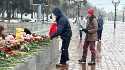 Движение #МЫВМЕСТЕ открыло сбор средств на помощь жертвам теракта в «Крокус Сити Холле»