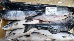 Рыбу по цене от 125 рублей за килограмм привезли в Томари утром 7 февраля