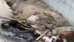 Мусор на центральной набережной Невельска уберут 28 апреля