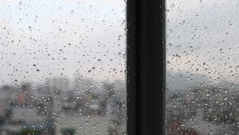 Дождь, +5°С на юге, ветер до 16 м/с: погода в Сахалинской области на день 11 марта