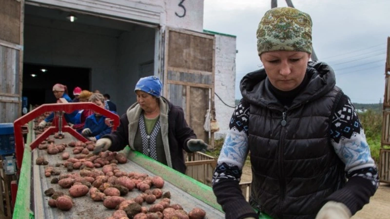 Горячая страда