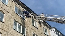 Спасатели вытащили из западни застрявшую в окне кошку в Южно-Сахалинске 