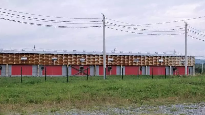 Бережное производство поможет крупнейшему свинокомплексу Сахалина работать на 30 процентов мощнее