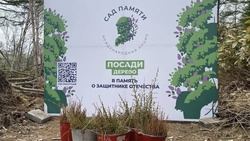 В Южно-Сахалинске посадили более 3,5 тысячи деревьев благодаря акции «Сад памяти»