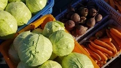 Итоги уборочной кампании-2023 подвели в Поронайске