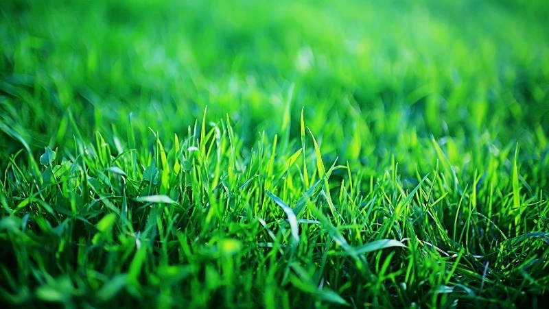 Церковный праздник 18 июля 2024: что нельзя делать в этот день, приметы