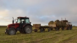 «Единая Россия» открыла регистрацию на агродиктант партпроекта «Российское село»