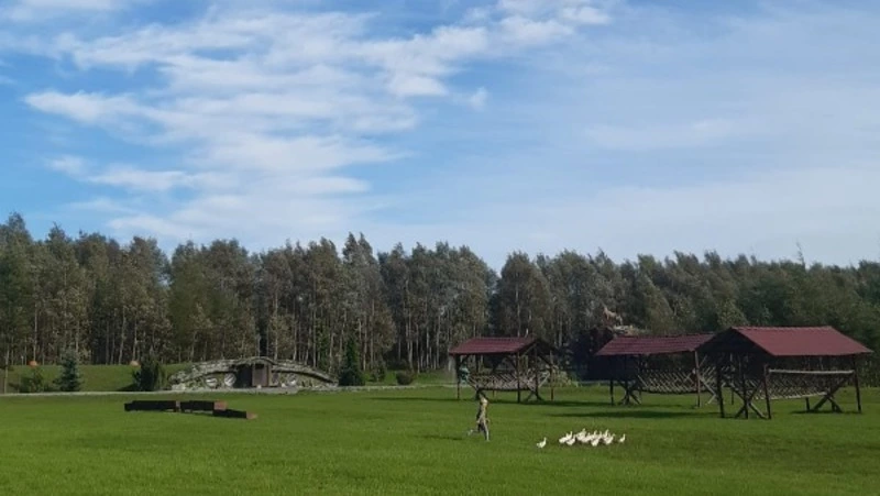 Минутка нытья, или  Как простить этому лету предательство?