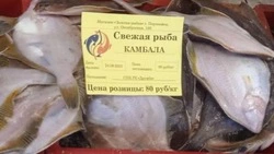 Рыбу по социальным ценам привезли в восемь районов Сахалина 25 августа 