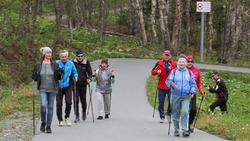 Сахалинцы могут бесплатно начать заниматься скандинавской ходьбой