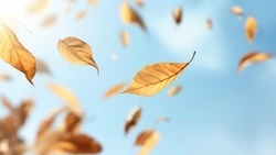 Прохладная погода придет в Сахалинскую область 22 сентября 