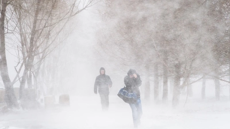 Метель обрушится на север Сахалина и Курилы ночью 14 декабря