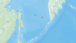 Землетрясение магнитудой 4,4 зарегистрировали в ночь на 13 декабря в Охотском море