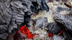 Куча мусора вспыхнула в прицепе-бытовке 22 апреля в Южно-Курильске
