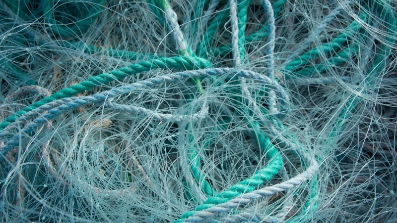 Вылов лососей неводами могут частично ограничить в акватории Сахалина и Камчатки 
