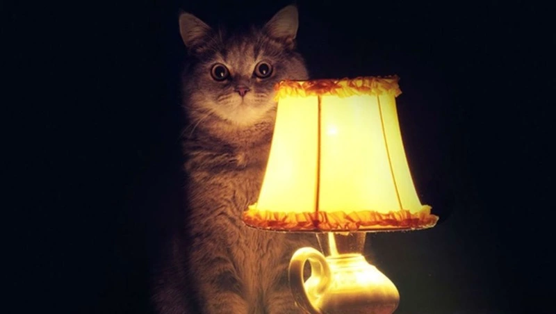 Отключения света в Южно-Сахалинске 9 августа: список улиц без электричества