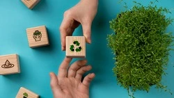 Молодежь 15 районов Сахалина пройдет обучение по защите окружающей среды