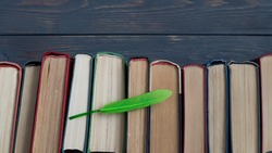 Проверь свою готовность к ЕГЭ по литературе: Тест из 8 вопросов