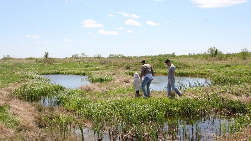 Болото многодетных