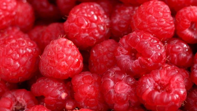 Как получить большой урожай малины: 7 важных советов по уходу за ягодой