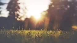 До +12 и без осадков: прогноз погоды на Сахалине и Курилах на 8 мая