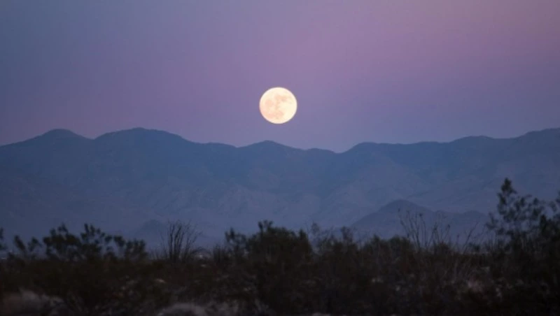 Лунный календарь на ноябрь 2025 года: благоприятные дни и советы