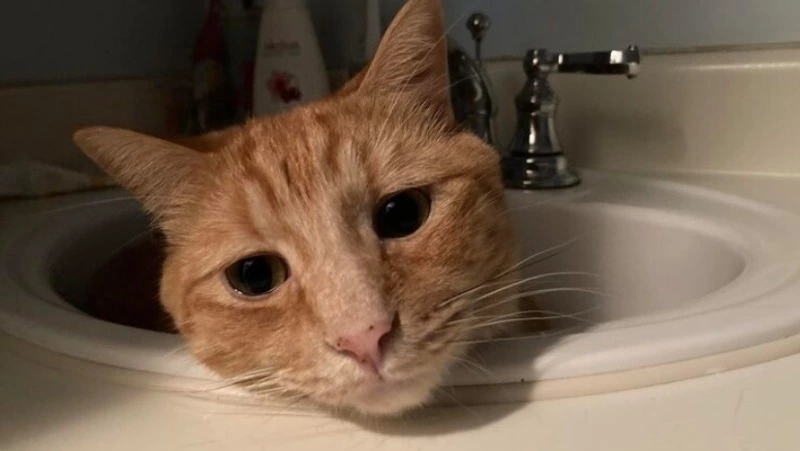 Авария на сетях оставила шесть улиц Южно-Сахалинска без воды 30 декабря