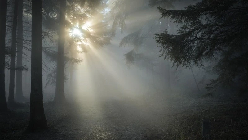 Замерзающий туман и +20 градусов: прогноз погоды на Сахалине и Курилах в четверг